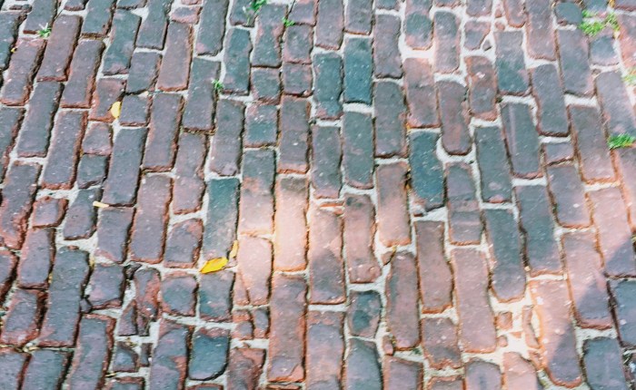 Immutable Database Schema